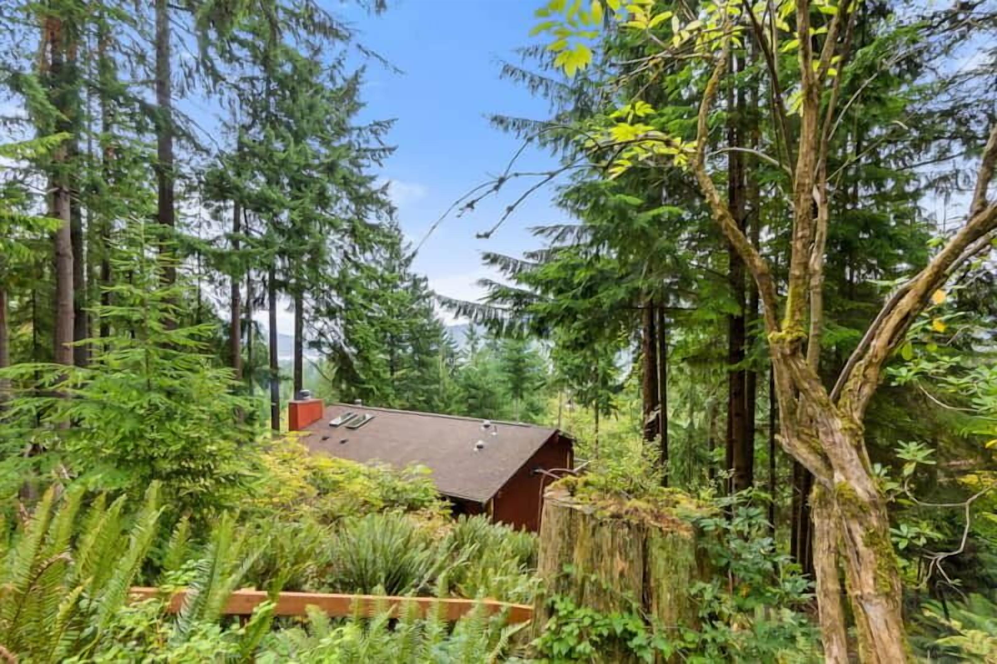 Lookout Mtn Lodge - Hot-tub, Firepit, EV & Firepla