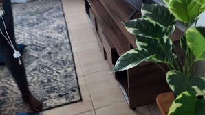 A living room with a flat-screen TV, a wooden bench, a potted plant, and a person sitting on the floor. - Best west $ (Kiambu County)
