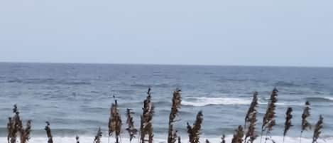 Una spiaggia nelle vicinanze