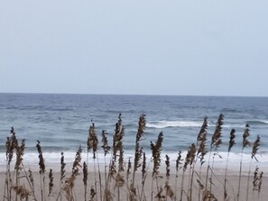 En strand med högt gräs i förgrunden och havet i bakgrunden.