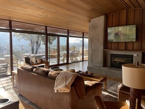 Smart TV, fireplace, books