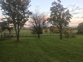A grassy field with trees and a fence.