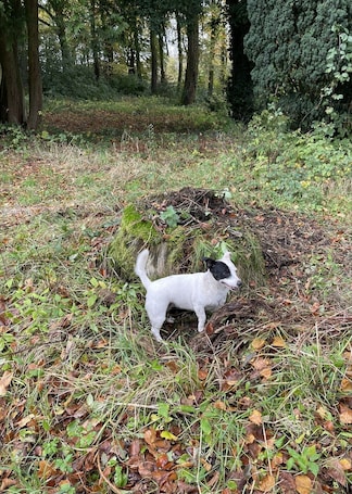 Studio | Property grounds