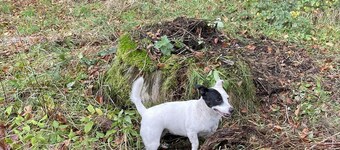 1-bed Luxury Studio Apartment Cockermouth