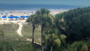 Ein Strand mit Palmen, einem Sandweg und blauen Sonnenschirmen.