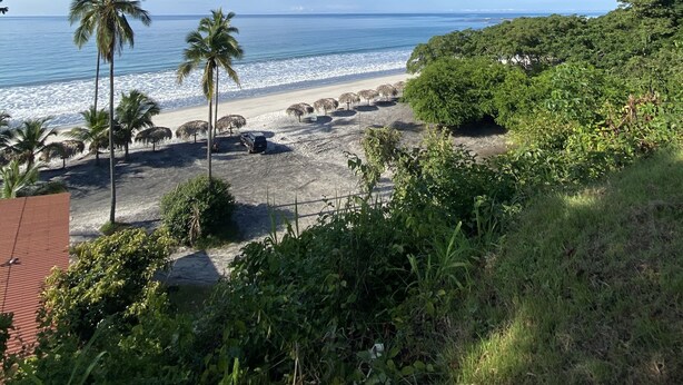 A beach with palm trees, a sandy shore, and a clear blue sky. - WiFi+Pool+10min 2 Surf+Nature+Private+Quiet  (La Ermita)