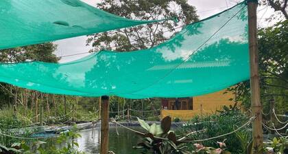 WiFi+Pool+10min 2 Surf+Nature+Private+Quiet