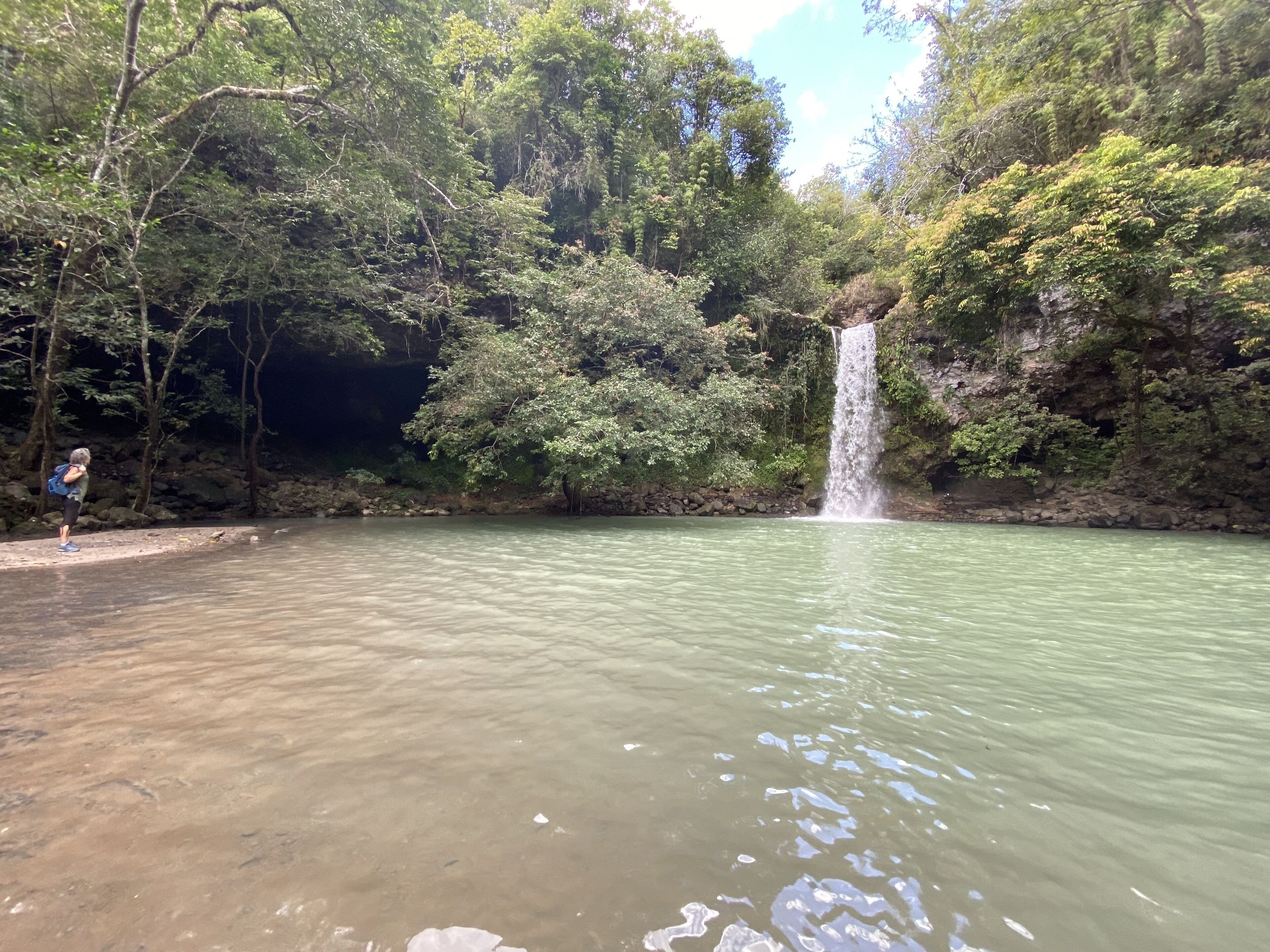 Ein Wasserfall in bewaldeter Landschaft mit einem klaren Wasserbecken im Vordergrund.