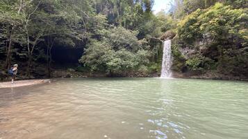 Ein Wasserfall in bewaldeter Landschaft mit einem klaren Wasserbecken im Vordergrund.