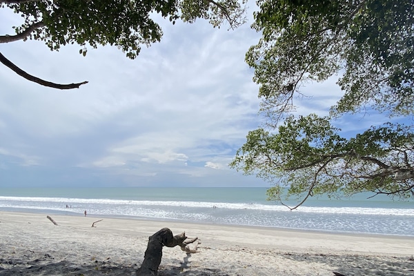 Perto da praia, espreguiçadeiras