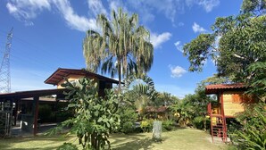 A tropical garden with a large palm tree, a wooden house, and a covered patio area. - WiFi+Pool+10min 2 Surf+Nature+Private+Quiet  (La Ermita)