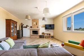 TV, fireplace