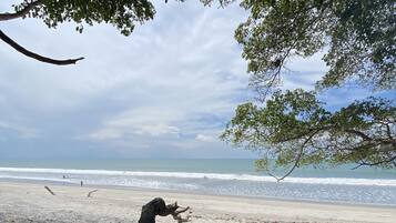 Playa en los alrededores y camastros