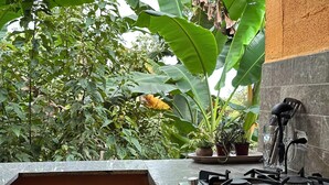 A kitchen with a stone countertop, a sink, and various utensils. There are potted plants and a view of greenery outside.