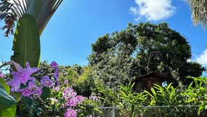 A pool area with a wooden deck, surrounded by lush greenery and flowering plants.
