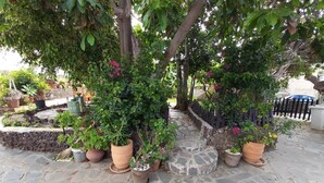 A stone-paved garden with potted plants and a stone pathway. - Beautiful House With Access to Pool, Tenerife, ES (San Cristóbal de La Laguna)