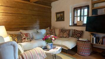 Tv, eldstad, dvd-spelare och böcker