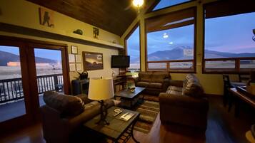 TV, fireplace, DVD player, books