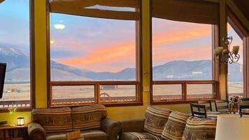 Televisión, chimenea, reproductor de DVD y libros