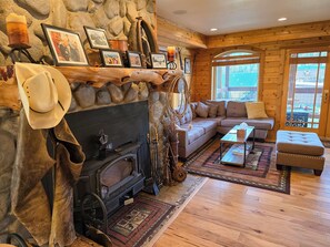 TV connectée, cheminée, lecteur de DVD, livres