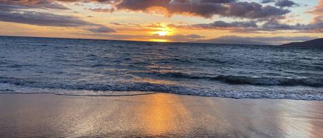 Nær stranden, solsenger og strandhåndklær