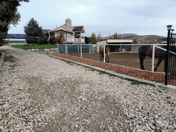 A stable with a horse, surrounded by a gravel path and a house in the background.