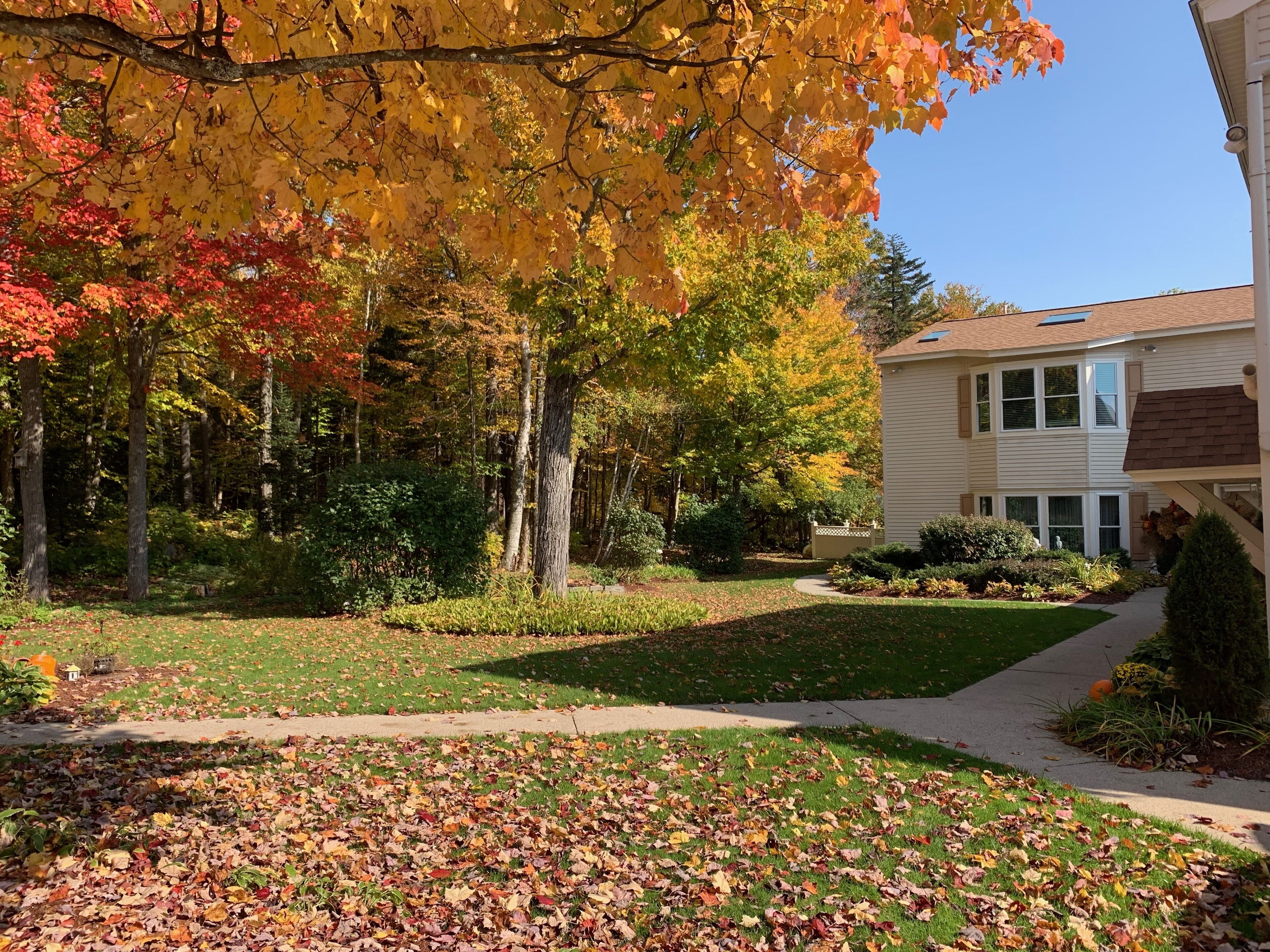 Overnattingsstedets uteområder