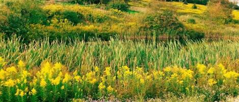Áreas de la propiedad