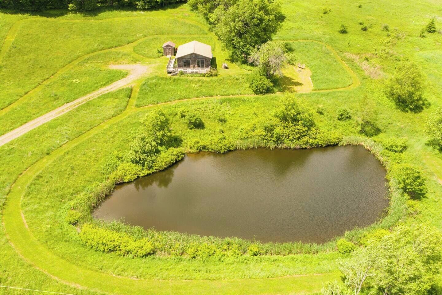 Un paysage rural avec un étang, une maison en bois et une végétation luxuriante tout autour.