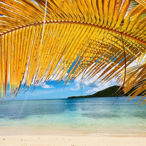 A beach with clear turquoise water, a sandy shore, and a palm tree overhead. - Rêves de Soleil: Summer Sunset Lodge with an Exceptional View of the Bay (SAINTE-ANNE)