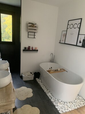 Combined shower/bathtub, hair dryer, toilet paper