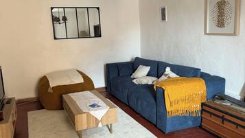 TV, fireplace, books