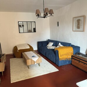 TV, fireplace, books