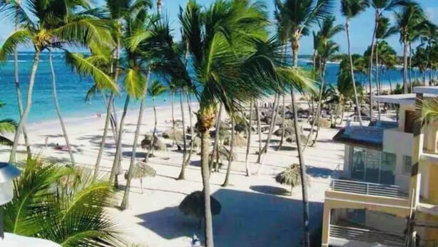 Une plage bordée de palmiers et un bâtiment doté d’un balcon donnant sur l’océan.