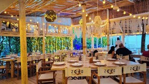 Un espace de restauration intérieur avec des tables et des chaises en bois, des guirlandes lumineuses et un décor végétal en arrière-plan.