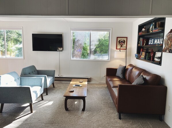 Fireplace, DVD player, books