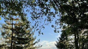 A gravel path leading to a lake surrounded by trees. - Chapel Hill Resort (Spring Lake)