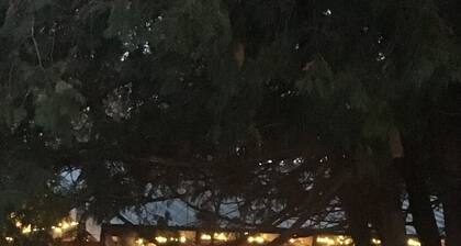 Standard queen bed room sleeps 2