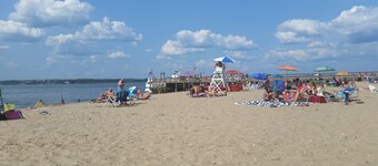 Serene upstairs apt. Walk to town, train, & beach ferry!