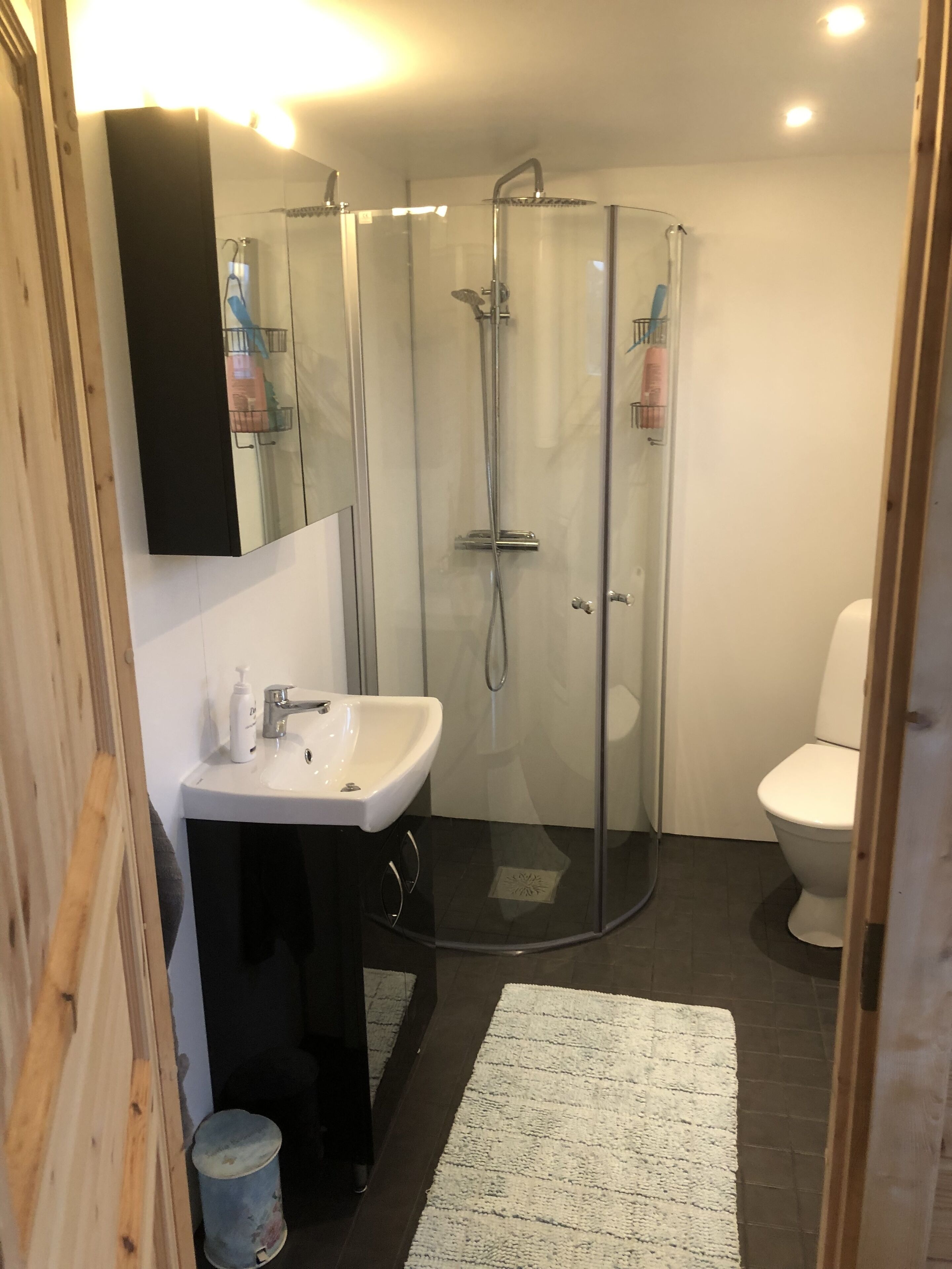 Shower, hair dryer, soap