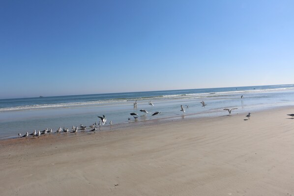 In Strandnähe, Liegestühle, Strandtücher