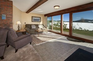 Televisión, chimenea, reproductor de DVD