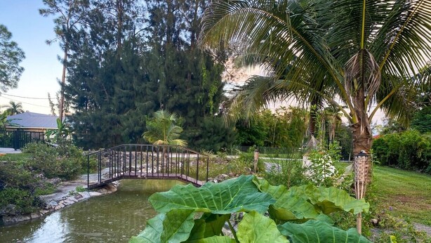 A bridge over a pond with large green leaves in the foreground. - Cozy Luxury Suite In The Heart Of Fort Myers Close To Everything! (Fort Myers)
