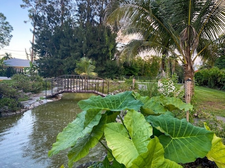 Property grounds. Cozy Luxury Suite In The Heart Of Fort Myers Close To Everything!
