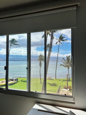 Una habitación con un ventanal grande que da a un área verde con palmeras y vistas al océano.