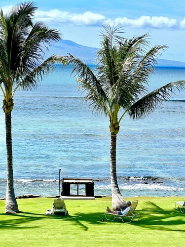 OCEANFRONT Ma'alaea 309 2/BR/2BA, WATCH WHALES & TURTLES, WALK TO BEACH & DINING