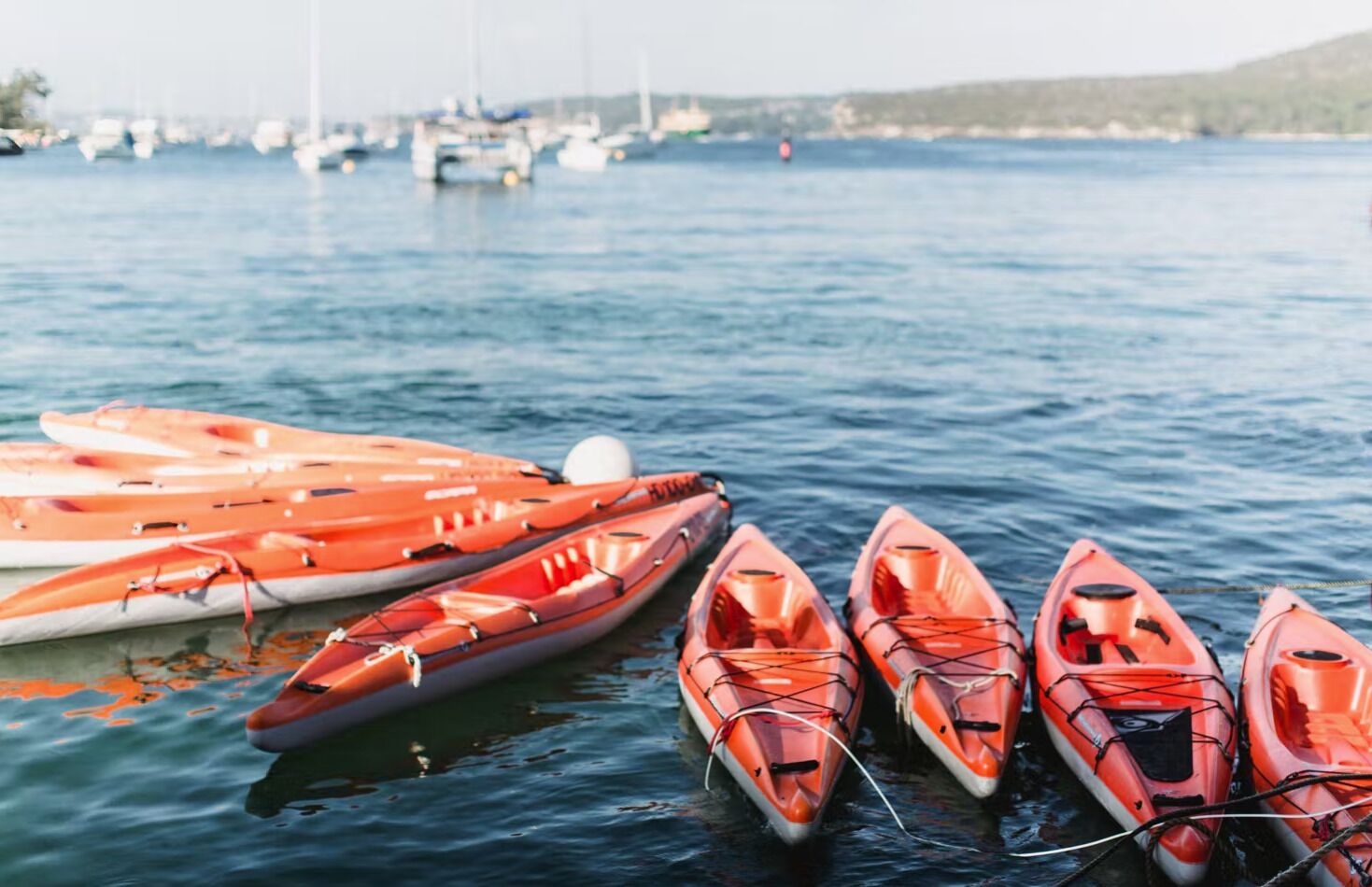 Diverse oranje kajaks op kalm water, met een jachthaven en boten op de achtergrond.