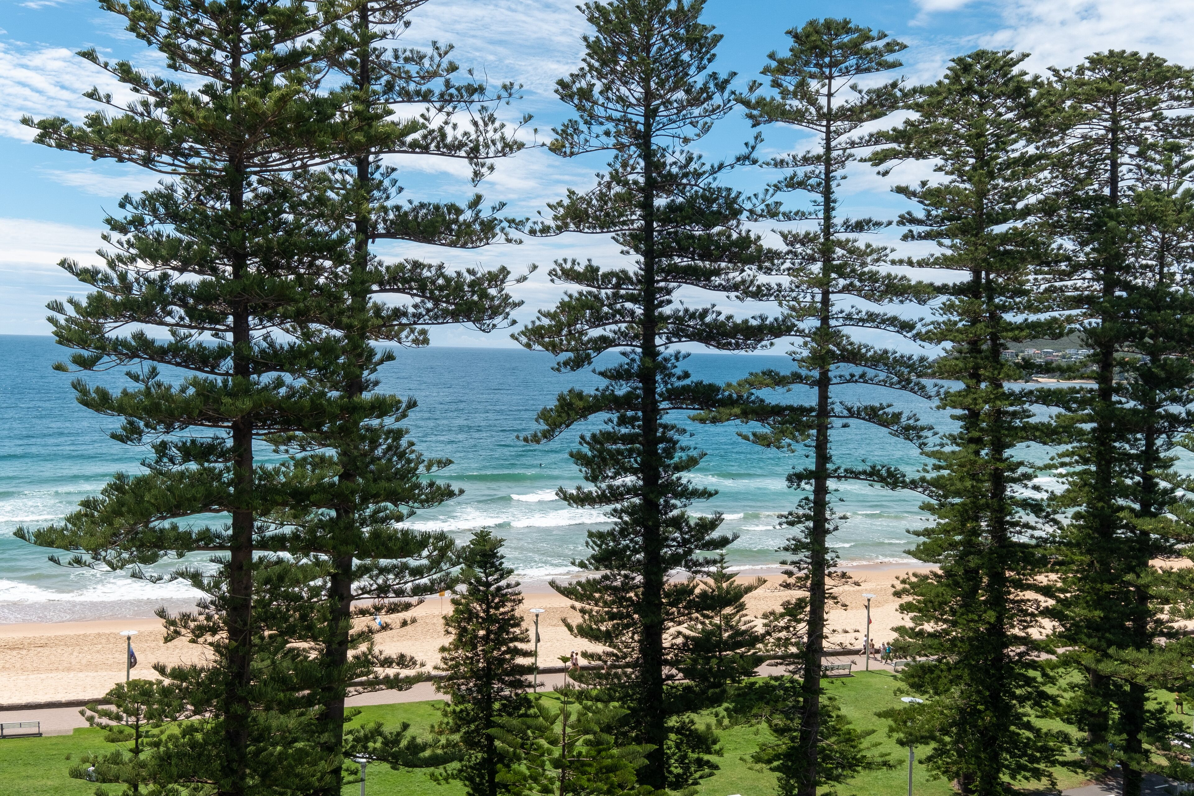 Beachfront Beauty with 270° Views Short Level Walk to Manly — image 5