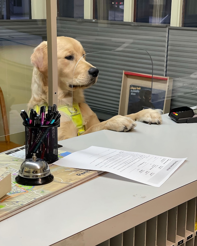 Bowmont Motel by null