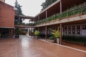 Terrace/patio - Hotel Express Quinta Soledad (Mexico City)